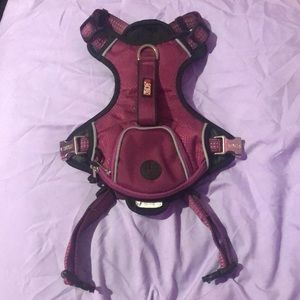 Medium sized Kong harness for dog